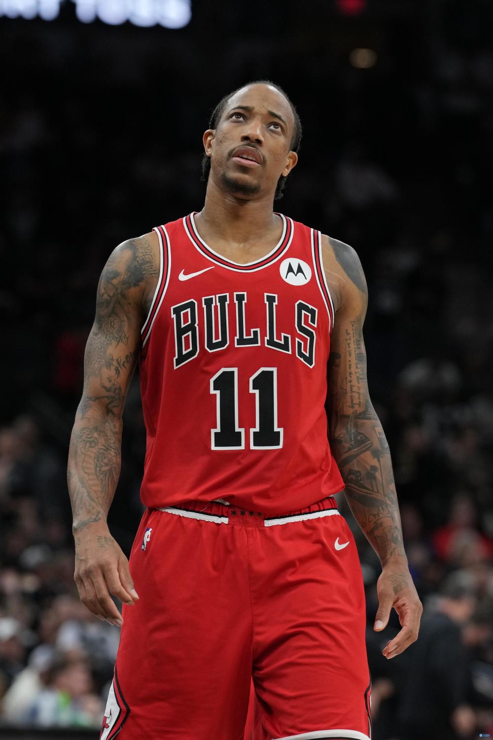 德罗巴新星精彩发挥表现惊艳，公牛未来可期！